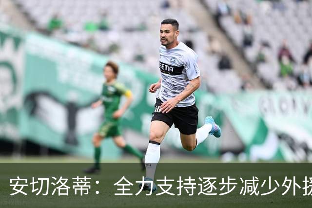安切洛蒂：全力支持逐步减少外援名额，助力巴西年轻球员成长