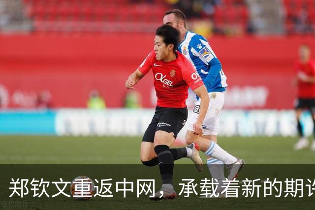 郑钦文重返中网，承载着新的期许与挑战